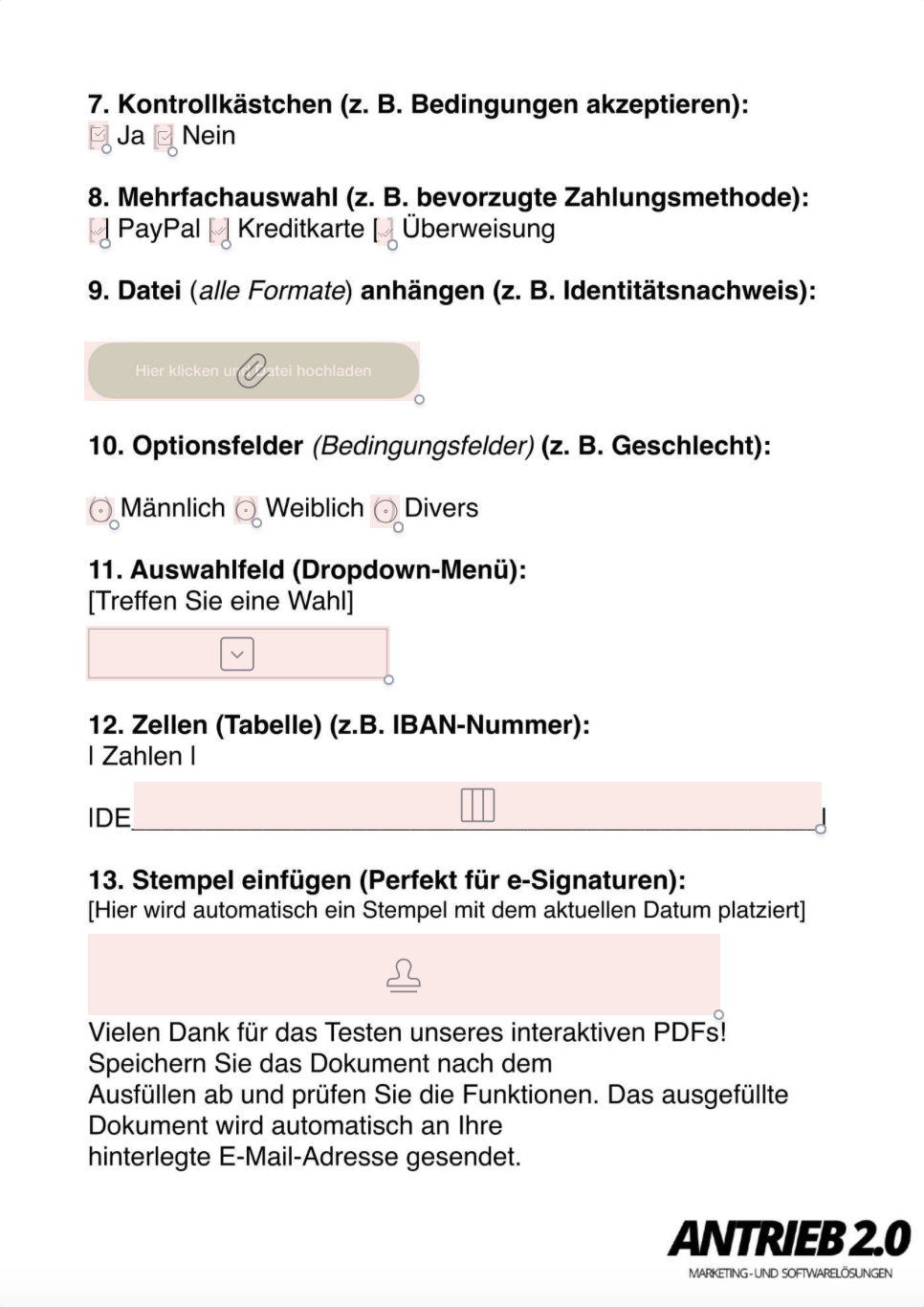 PDF-Form Schritt 2